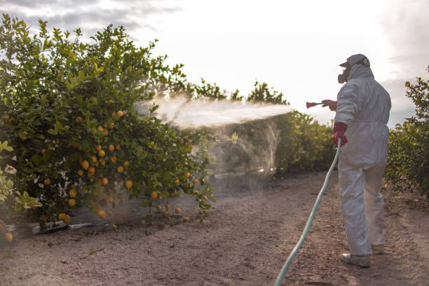 Best Pest Control Cost  in Atchison, KS