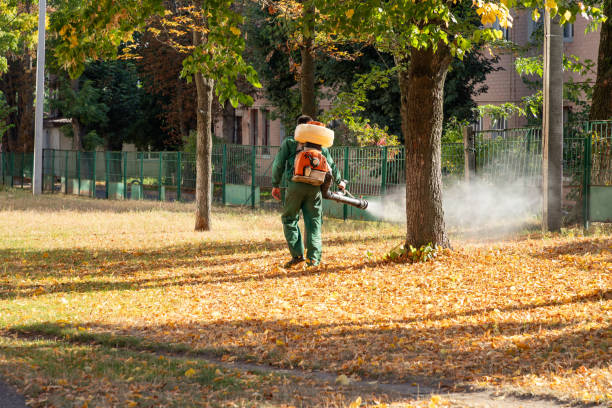 Best Wildlife Control Services  in Atchison, KS