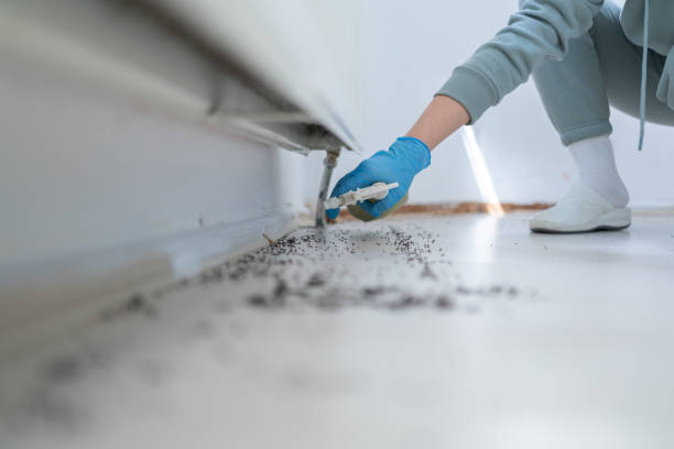Best Pest Prevention Services  in Atchison, KS