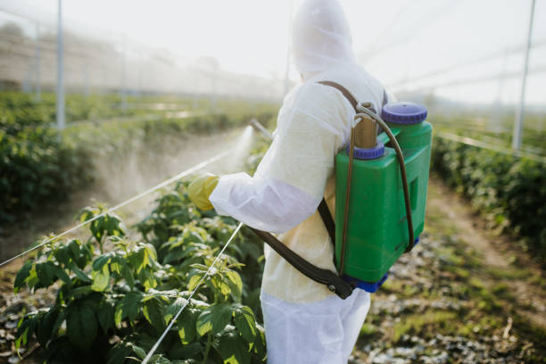 Best Emergency Pest Control  in Atchison, KS